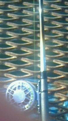 夕方からのメバル